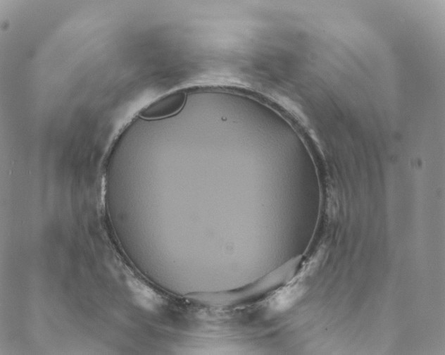 X0000088471366200706121519