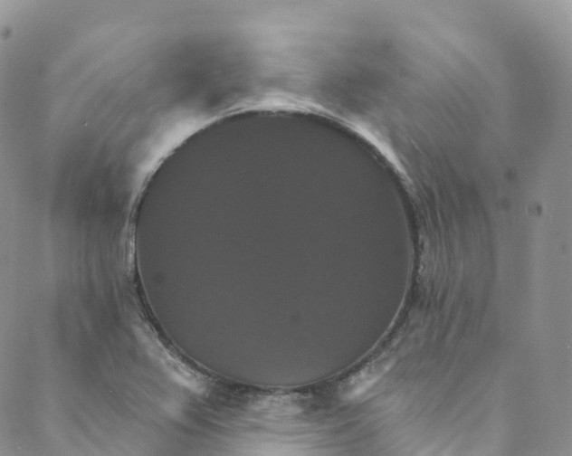 X0000088471367200706121519