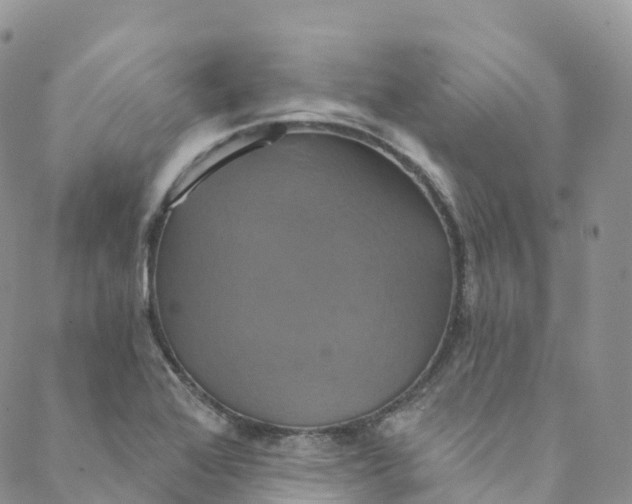 X0000088471368200706121519