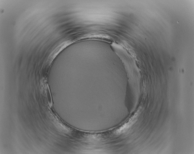 X0000088471369200706121519