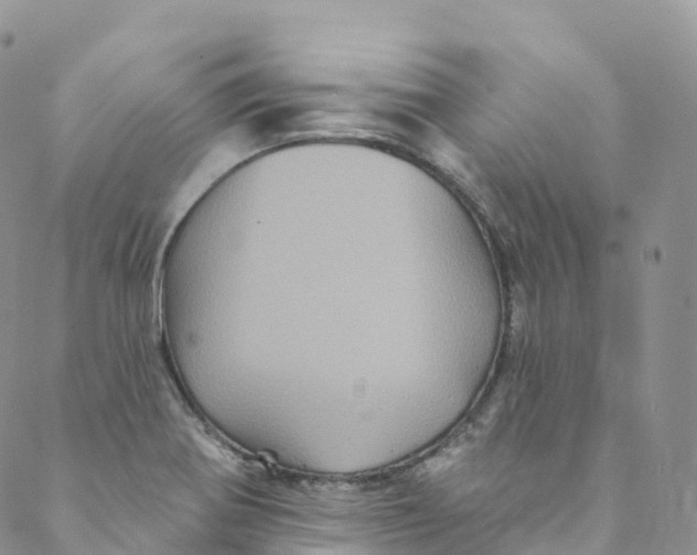 X0000088471370200706121519