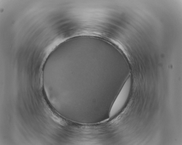 X0000088471371200706121519