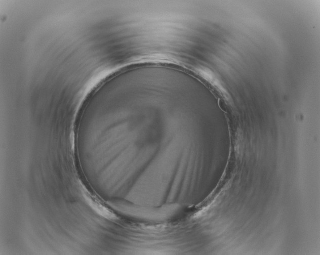 X0000088471372200706121518