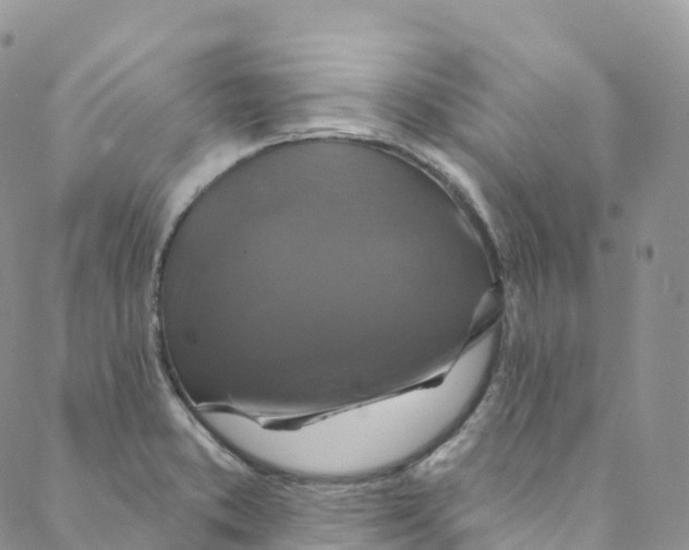 X0000088471373200706121518