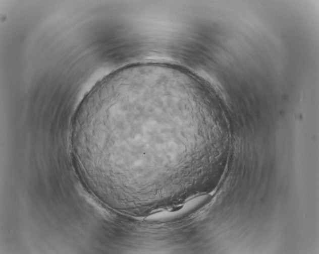 X0000088471374200706121518