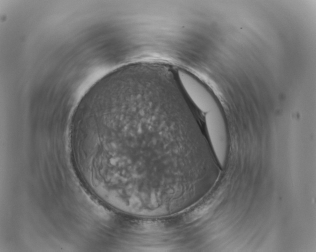 X0000088471375200706121518