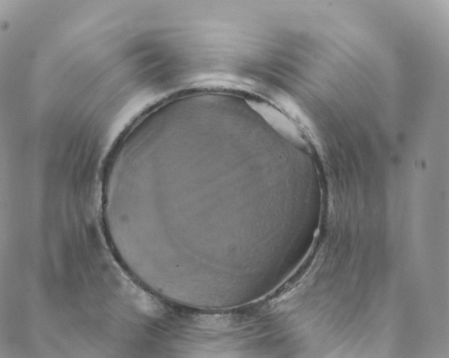 X0000088471376200706121518