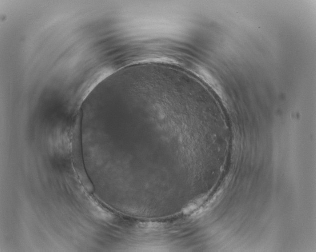 X0000088471377200706121518