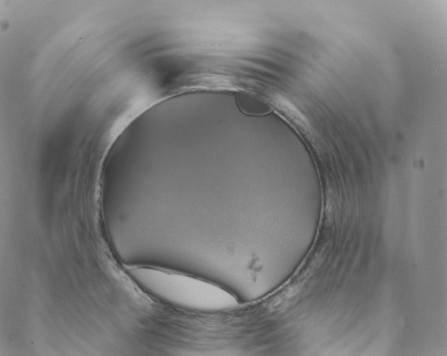 X0000088471378200706121518