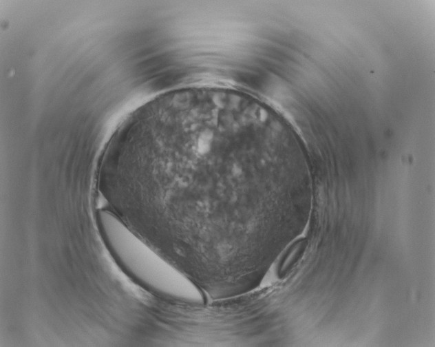 X0000088471379200706121518