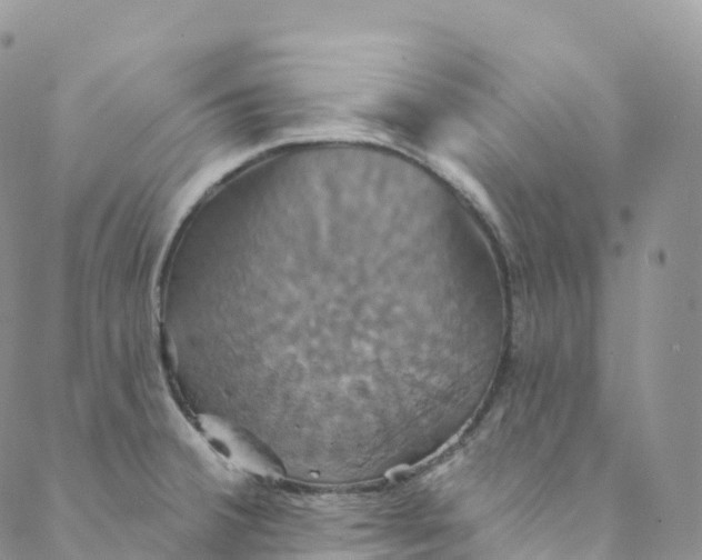 X0000088471380200706121518