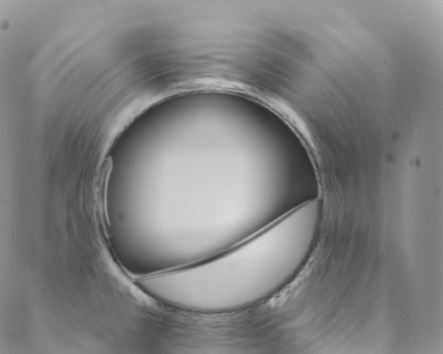 X0000088471381200706121518