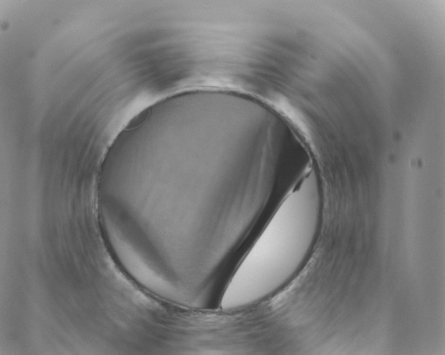 X0000088471382200706121518