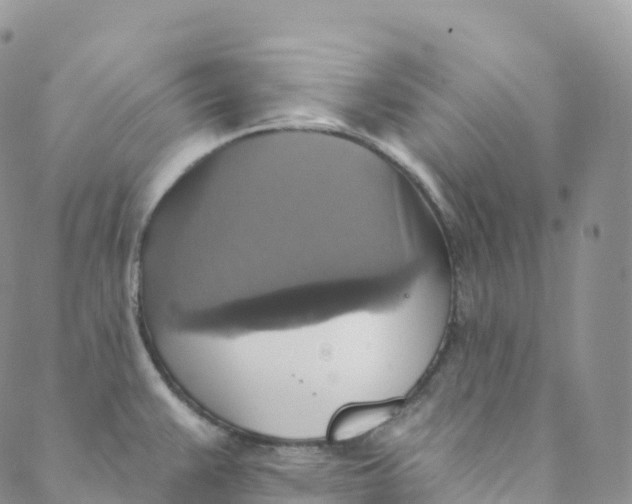 X0000088471383200706121518