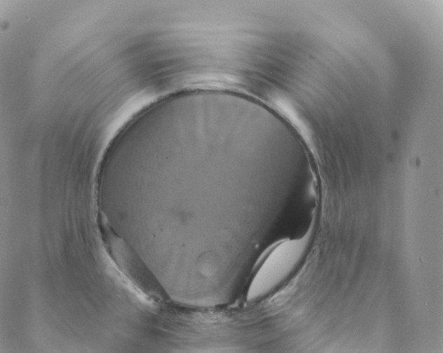 X0000088471384200706121518