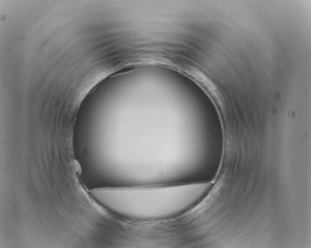 X0000088471385200706121518