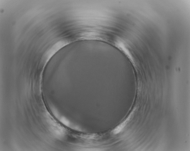 X0000088471386200706121518