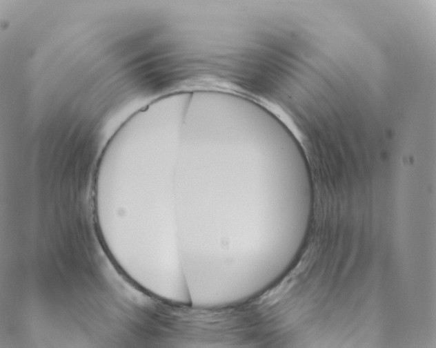 X0000088471387200706121518