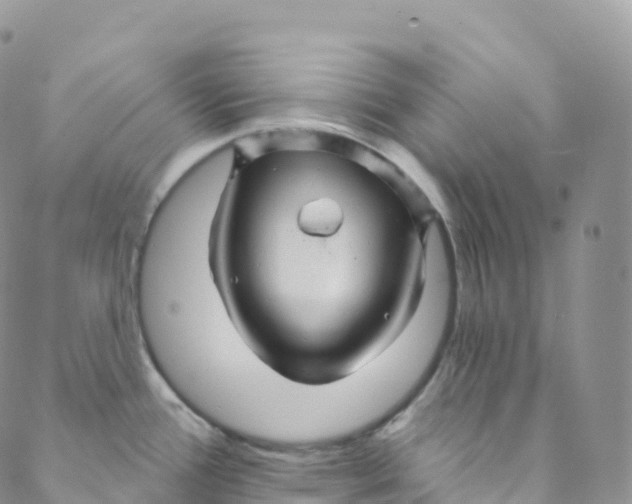 X0000088471388200706121518