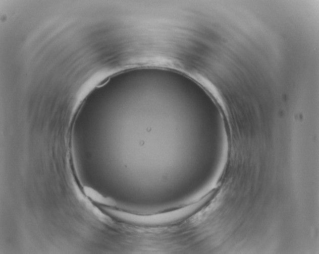 X0000088471389200706121518