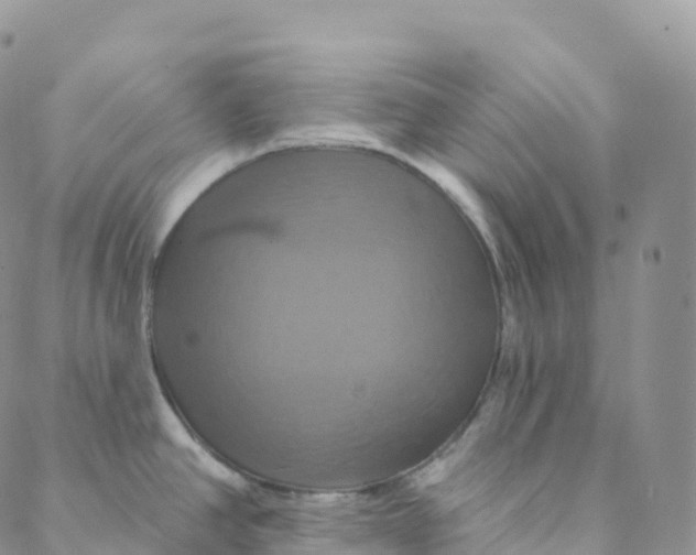 X0000088471390200706121518