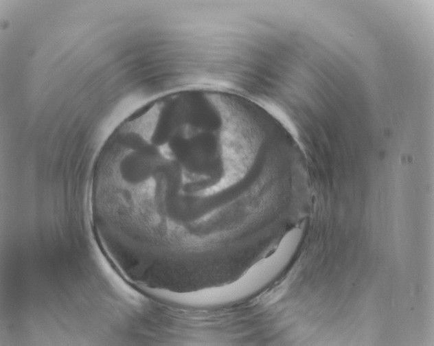 X0000088471391200706121518