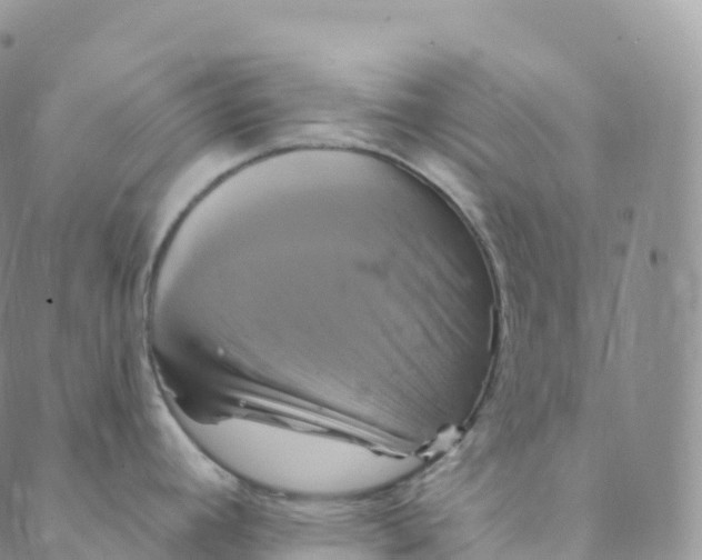 X0000088471392200706121518