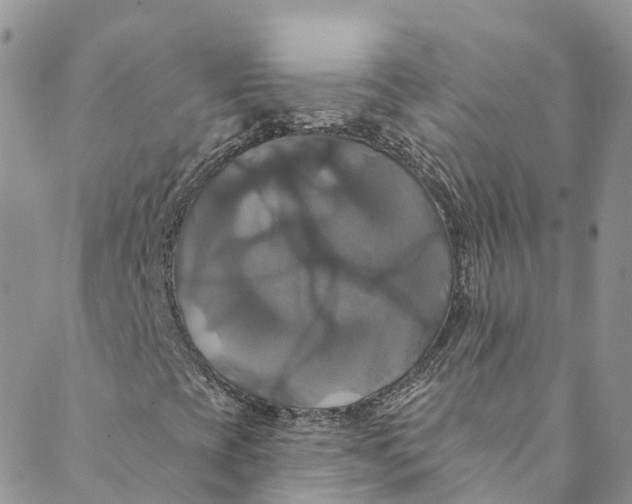 X0000088471393200706121517