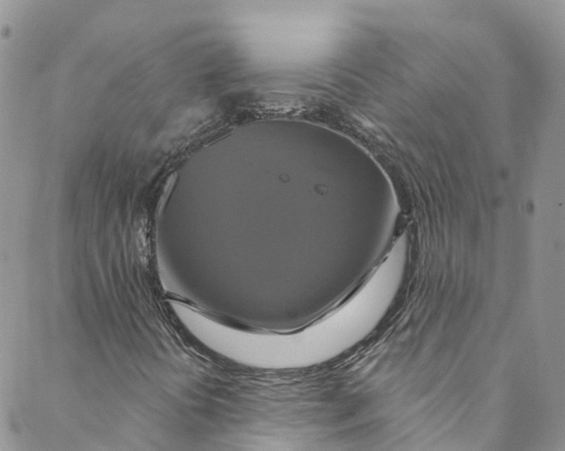 X0000088471394200706121517