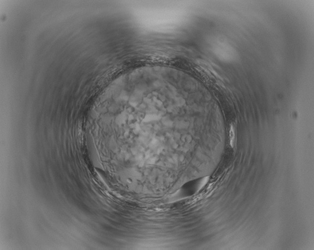 X0000088471395200706121517