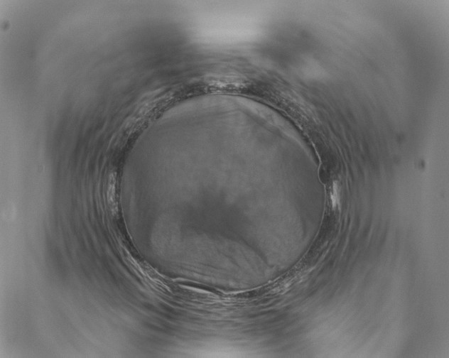 X0000088471396200706121517