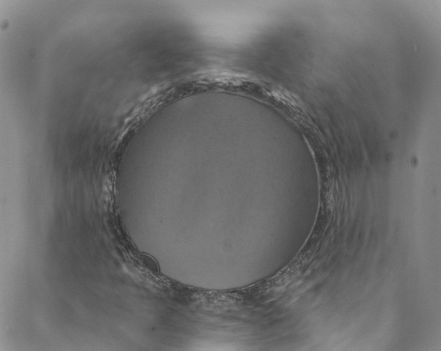 X0000088471397200706121517