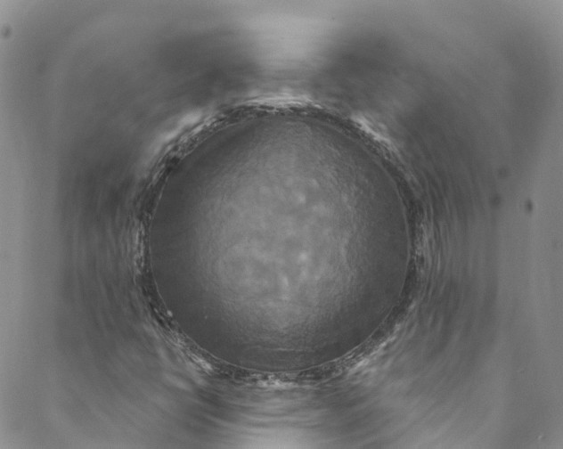 X0000088471398200706121517