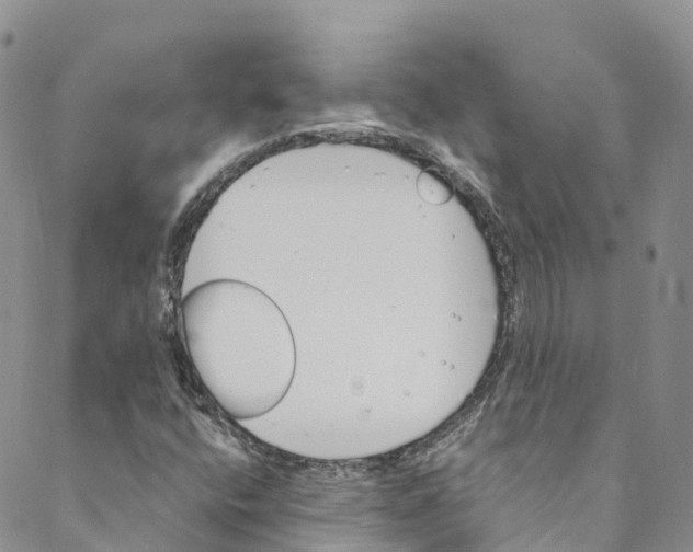 X0000088471400200706121517