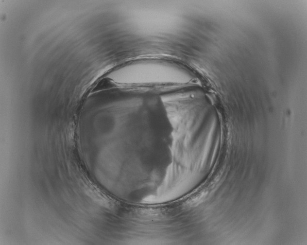 X0000088471401200706121518