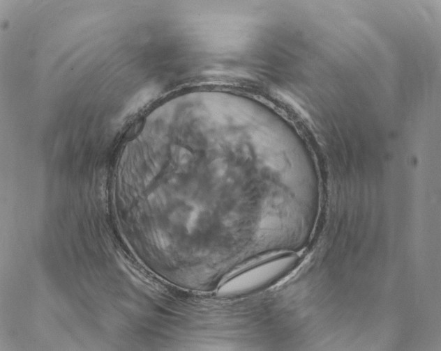 X0000088471403200706121518