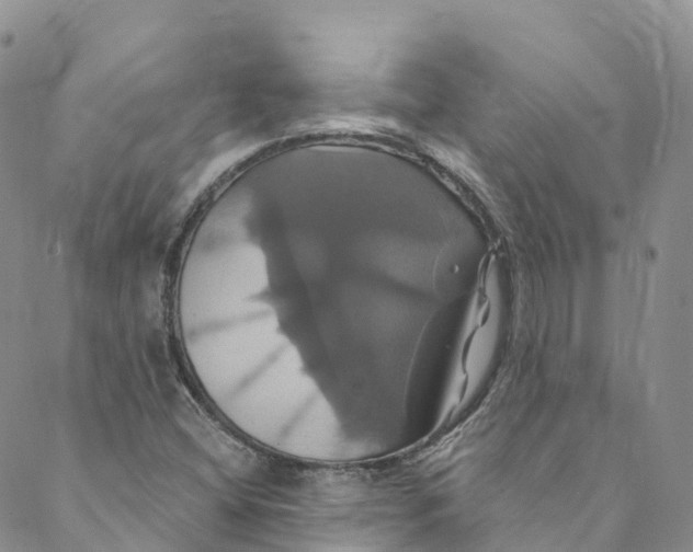 X0000088471404200706121518