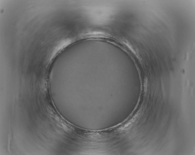 X0000088471405200706121518