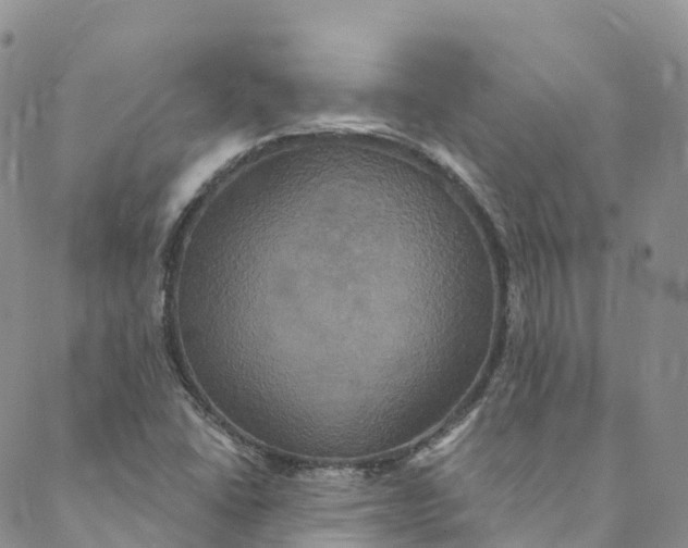 X0000088471406200706121518