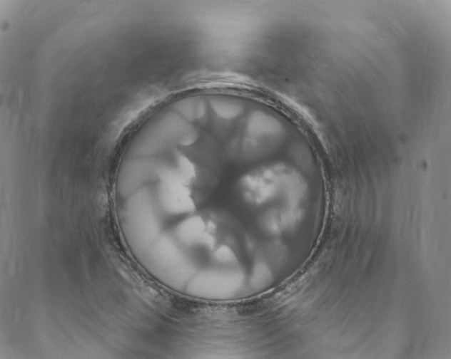 X0000088471407200706121518