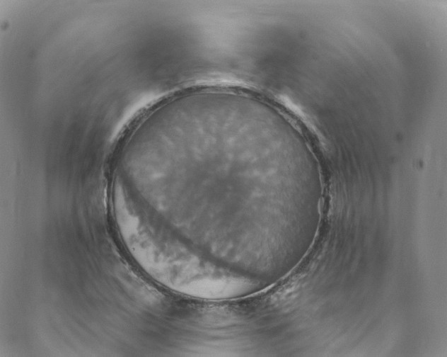 X0000088471408200706121518