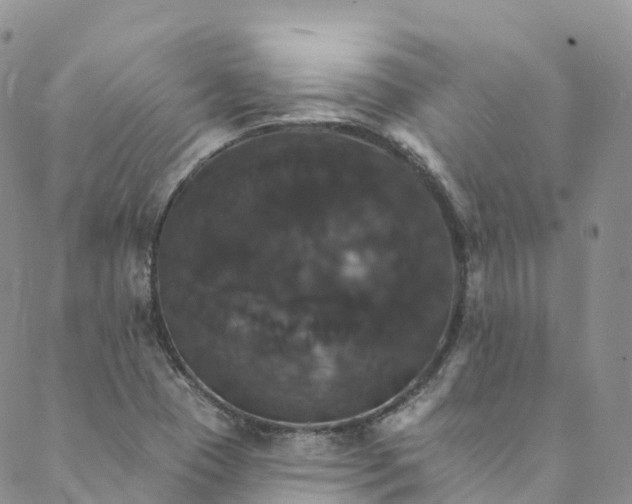 X0000088471409200706121518