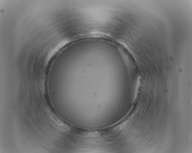 X0000088471410200706121518