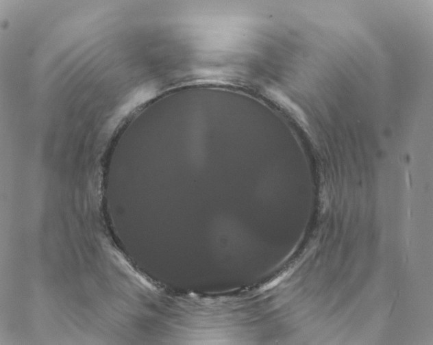 X0000088471411200706121518