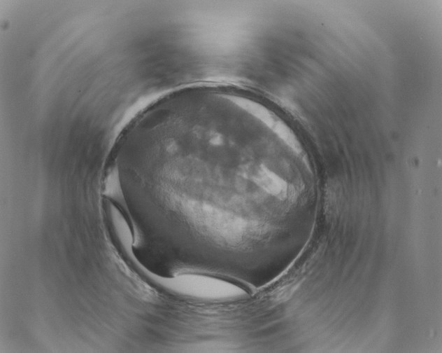 X0000088471412200706121518