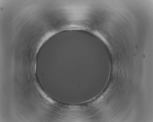 X0000088471413200706121518