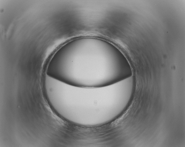 X0000088471414200706121518