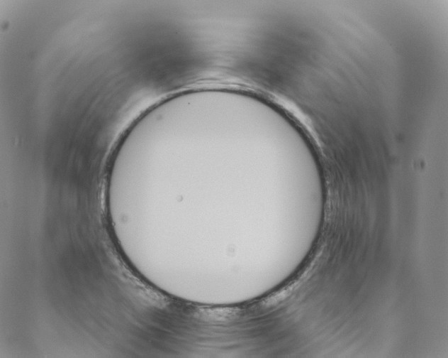 X0000088471415200706121518