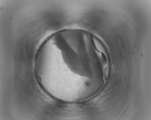 X0000088471416200706121518