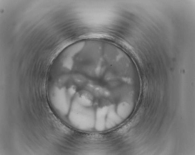 X0000088471417200706121518